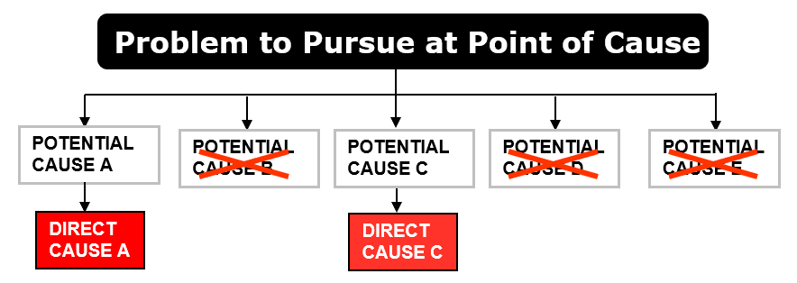 problem to pursue at point of Point of Cause 