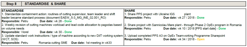 A3 Practical Problem Solving - Step 8 Standardise & Share example